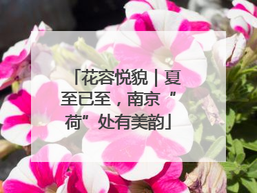 花容悦貌｜夏至已至，南京“荷”处有美韵
