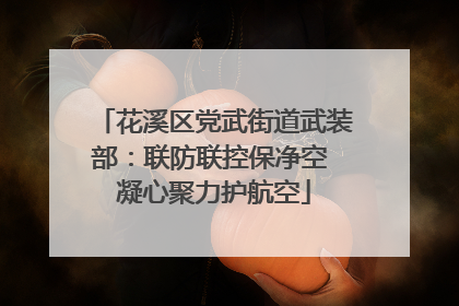 花溪区党武街道武装部：联防联控保净空 凝心聚力护航空