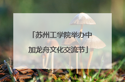 苏州工学院举办中加龙舟文化交流节