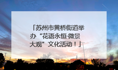 苏州市黄桥街道举办“花语永恒·微景大观”文化活动！