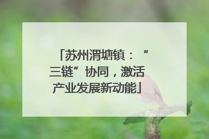 苏州渭塘镇：“三链”协同，激活产业发展新动能