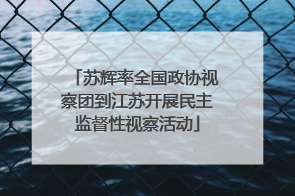 苏辉率全国政协视察团到江苏开展民主监督性视察活动