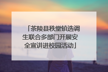 茶陵县秩堂镇选调生联合多部门开展安全宣讲进校园活动
