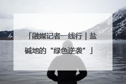 融媒记者一线行｜盐碱地的“绿色逆袭”