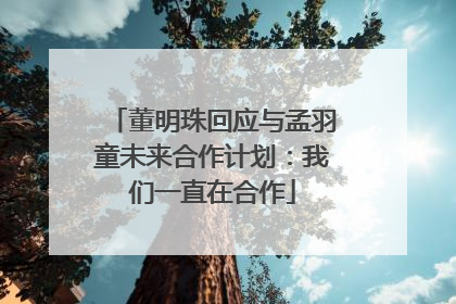 董明珠回应与孟羽童未来合作计划：我们一直在合作
