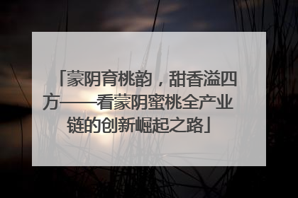 蒙阴育桃韵，甜香溢四方——看蒙阴蜜桃全产业链的创新崛起之路