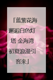 蓝紫花海邂逅白色灯塔 金海湾初夏浪漫引客来