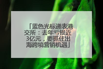 蓝色光标递表港交所：去年亏损近3亿元，要抓住出海跨境营销机遇