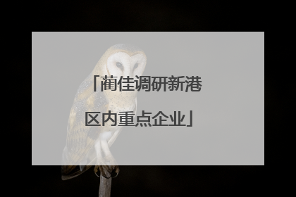 蔺佳调研新港区内重点企业