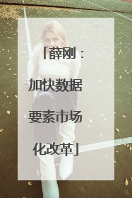 薛刚：加快数据要素市场化改革