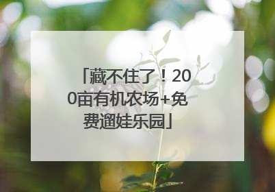 藏不住了！200亩有机农场+免费遛娃乐园