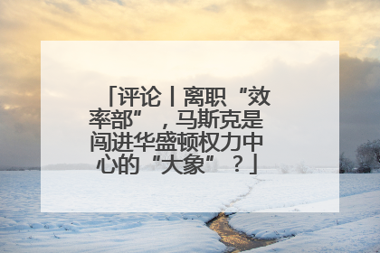 评论丨离职“效率部”，马斯克是闯进华盛顿权力中心的“大象”？