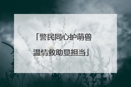 警民同心护萌兽 温情救助显担当
