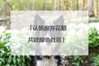 认领废弃花箱 共建绿色社区