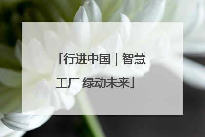 行进中国｜智慧工厂 绿动未来