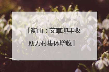 衡山：艾草迎丰收 助力村集体增收