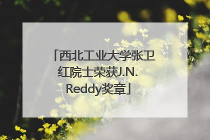 西北工业大学张卫红院士荣获J.N.Reddy奖章