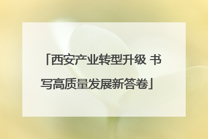 西安产业转型升级 书写高质量发展新答卷