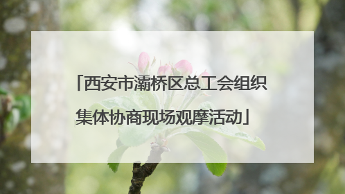 西安市灞桥区总工会组织集体协商现场观摩活动