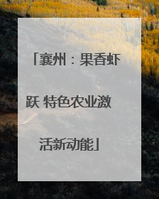襄州：果香虾跃 特色农业激活新动能