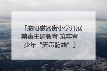 襄阳磁器街小学开展禁毒主题教育 筑牢青少年“无毒防线”