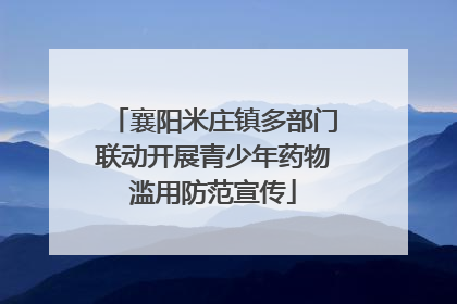襄阳米庄镇多部门联动开展青少年药物滥用防范宣传