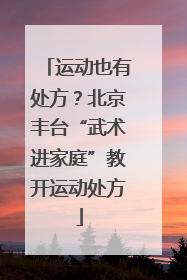 运动也有处方？北京丰台“武术进家庭”教开运动处方
