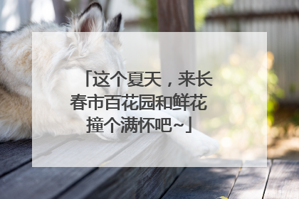 这个夏天，来长春市百花园和鲜花撞个满怀吧~