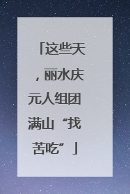 这些天，丽水庆元人组团满山“找苦吃”
