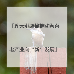 连云港赣榆推动海苔老产业向“新”发展