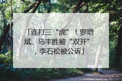 连打三“虎”！罗增斌、马丰胜被“双开”，李石松被公诉