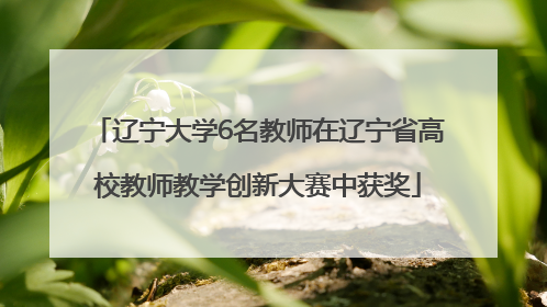 辽宁大学6名教师在辽宁省高校教师教学创新大赛中获奖