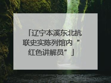 辽宁本溪东北抗联史实陈列馆内“红色讲解员”