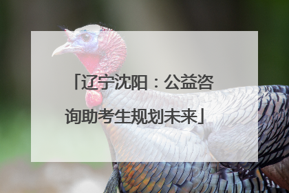 辽宁沈阳：公益咨询助考生规划未来