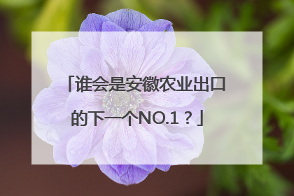 谁会是安徽农业出口的下一个NO.1？