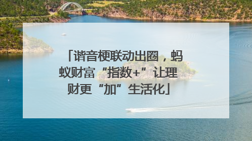谐音梗联动出圈，蚂蚁财富“指数+”让理财更“加”生活化