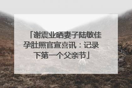 谢震业晒妻子陆敏佳孕肚照官宣喜讯：记录下第一个父亲节