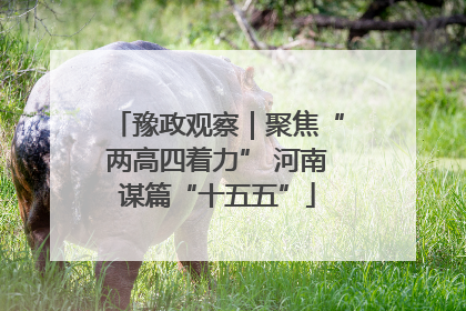 豫政观察｜聚焦“两高四着力” 河南谋篇“十五五”