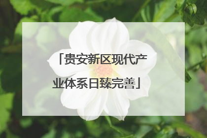 贵安新区现代产业体系日臻完善