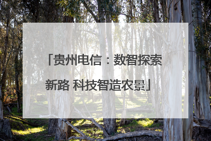 贵州电信：数智探索新路 科技智造农景