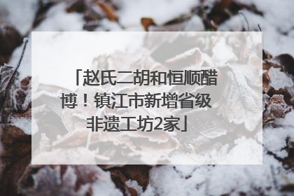赵氏二胡和恒顺醋博！镇江市新增省级非遗工坊2家