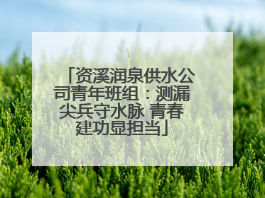 资溪润泉供水公司青年班组：测漏尖兵守水脉 青春建功显担当