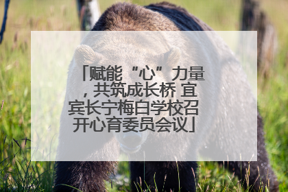 赋能“心”力量，共筑成长桥 宜宾长宁梅白学校召开心育委员会议