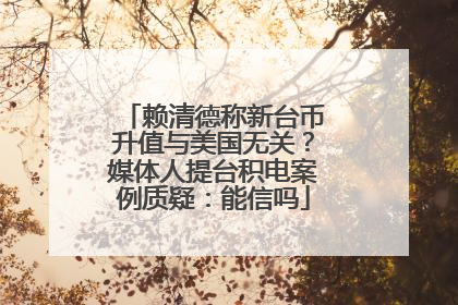 赖清德称新台币升值与美国无关？媒体人提台积电案例质疑：能信吗