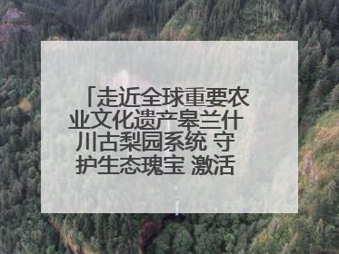 走近全球重要农业文化遗产皋兰什川古梨园系统 守护生态瑰宝 激活发展动能