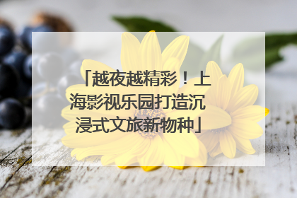 越夜越精彩！上海影视乐园打造沉浸式文旅新物种