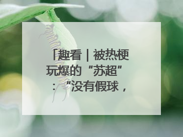 趣看｜被热梗玩爆的“苏超”：“没有假球，全是世仇”