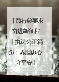 践行总要求 奋进新征程丨执法公正篇③：赤胆忠心守平安