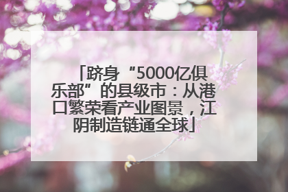 跻身“5000亿俱乐部”的县级市：从港口繁荣看产业图景，江阴制造链通全球