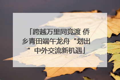 跨越万里同竞渡 侨乡青田端午龙舟“划出”中外交流新机遇